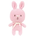 Kit Renée il coniglio Set per realizzare un amigurumi completo - A28C03-XS Anchor