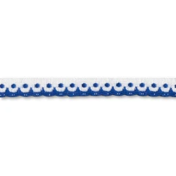 Embroidered braid with coloured borders 12mm