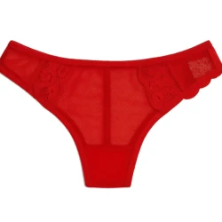 Red brazilian lucky charm briefs in soft tulle and fine lace - Lingerie Purple