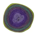 Lana Revelation DMC ball of variegated coloured yarn, 150g,