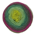 Lana Revelation DMC ball of variegated coloured yarn, 150g,