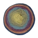 Lana Revelation DMC ball of variegated coloured yarn, 150g,