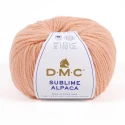 Filato Sublime Alpaca DMC 50g alpaca e lana peruviana