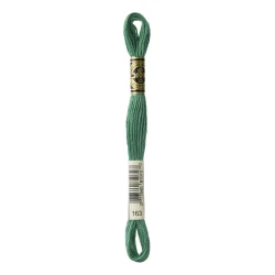 DMC Mouliné Special - Colore 163 - Matassina 8m