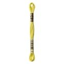 DMC Mouliné Special - Colore 165 - Matassina 8m