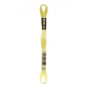 DMC Mouliné Special - Colour 3078 - 8m skein