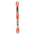DMC Mouliné Special - Colore 3340 - Matassina 8m