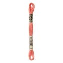 DMC Mouliné Special - Colore 3341 - Matassina 8m