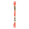 DMC Mouliné Special - Colore 352 - Matassina 8m
