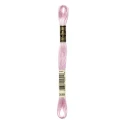 DMC Mouliné Special - Colore 3689 - Matassina 8m