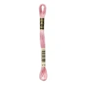 DMC Mouliné Special - Colour 3716 - 8m skein