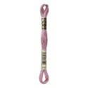 DMC Mouliné Special - Colour 3727 - 8m skein