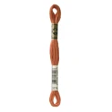 DMC Mouliné Special - Colore 3776 - Matassina 8m