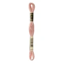 DMC Mouliné Special - Colore 3779 - Matassina 8m