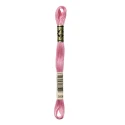 DMC Mouliné Special - Colour 3806 - 8m skein
