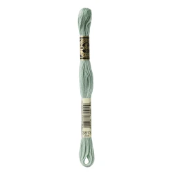 DMC Mouliné Special - Colore 3813 - Matassina 8m