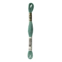 DMC Mouliné Special - Colore 3816 - Matassina 8m