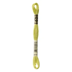 DMC Mouliné Special - Colore 3819 - Matassina 8m