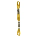 DMC Mouliné Special - Colour 3820 - 8m skein