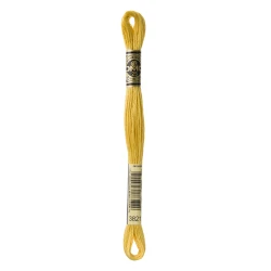 DMC Mouliné Special - Colour 3821 - 8m skein