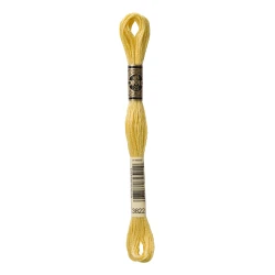 DMC Mouliné Special - Colore 3822 - Matassina 8m