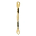 DMC Mouliné Special - Colour 3823 - 8m skein