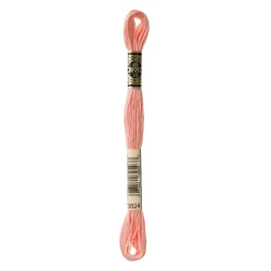 DMC Mouliné Special - Colour 3824 - 8m skein