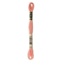 DMC Mouliné Special - Colore 3824 - Matassina 8m