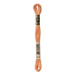 DMC Mouliné Special - Colour 3825 - 8m skein