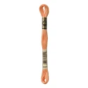 DMC Mouliné Special - Colore 3825 - Matassina 8m