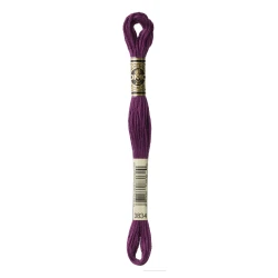 DMC Mouliné Special - Colour 3834 - 8m skein