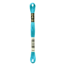 DMC Mouliné Special - Colore 3845 - Matassina 8m