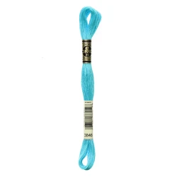DMC Mouliné Special - Colore 3846 - Matassina 8m