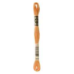 DMC Mouliné Special - Colore 3854 - Matassina 8m