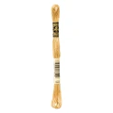 DMC Mouliné Special - Colour 422 - 8m skein