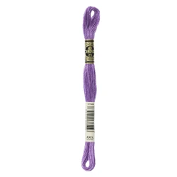 DMC Mouliné Special - Colore 553 - Matassina 8m