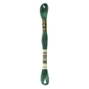 DMC Mouliné Special - Colore 561 - Matassina 8m