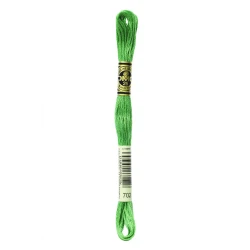 DMC Mouliné Special - Colore 702 - Matassina 8m