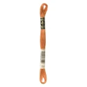 DMC Mouliné Special - Colore 721 - Matassina 8m