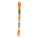 DMC Mouliné Special - Colore 722 - Matassina 8m
