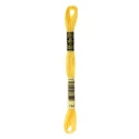 DMC Mouliné Special - Colore 744 - Matassina 8m
