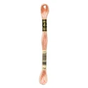 DMC Mouliné Special - Colour 754 - 8m skein