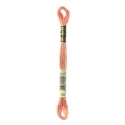 DMC Mouliné Special - Colour 758 - 8m skein