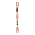 DMC Mouliné Special - Colour 761 - 8m skein