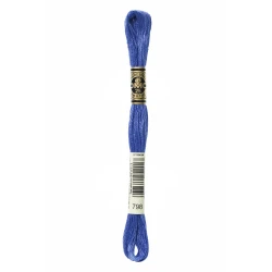 DMC Mouliné Special - Colore 798 - Matassina 8m