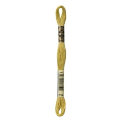 DMC Mouliné Special - Colour 834 - 8m skein