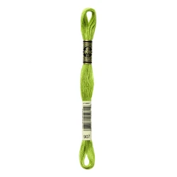 DMC Mouliné Special - Colour 907 - 8m skein