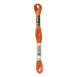 DMC Mouliné Special - Colore 922 - Matassina 8m