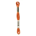 DMC Mouliné Special - Colore 922 - Matassina 8m