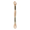 DMC Mouliné Special - Colour 945 - 8m skein